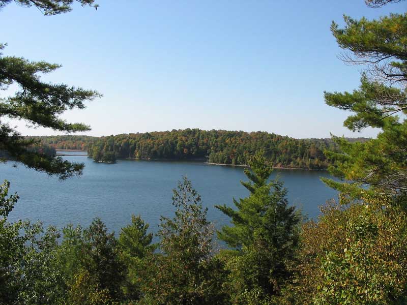 Flooded Septic Field